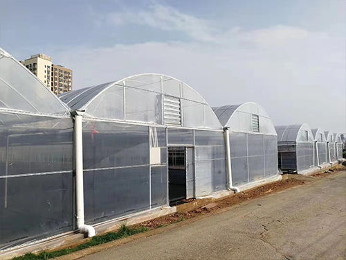 夢洋溫室薄膜 專業訂制，助力花卉溫室高產高效