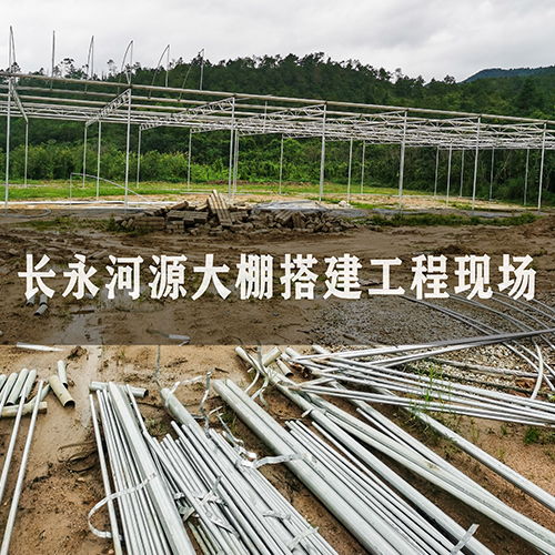 溫室建設(shè)指南 價(jià)格趨勢(shì)、廠家選擇與大棚薄膜應(yīng)用